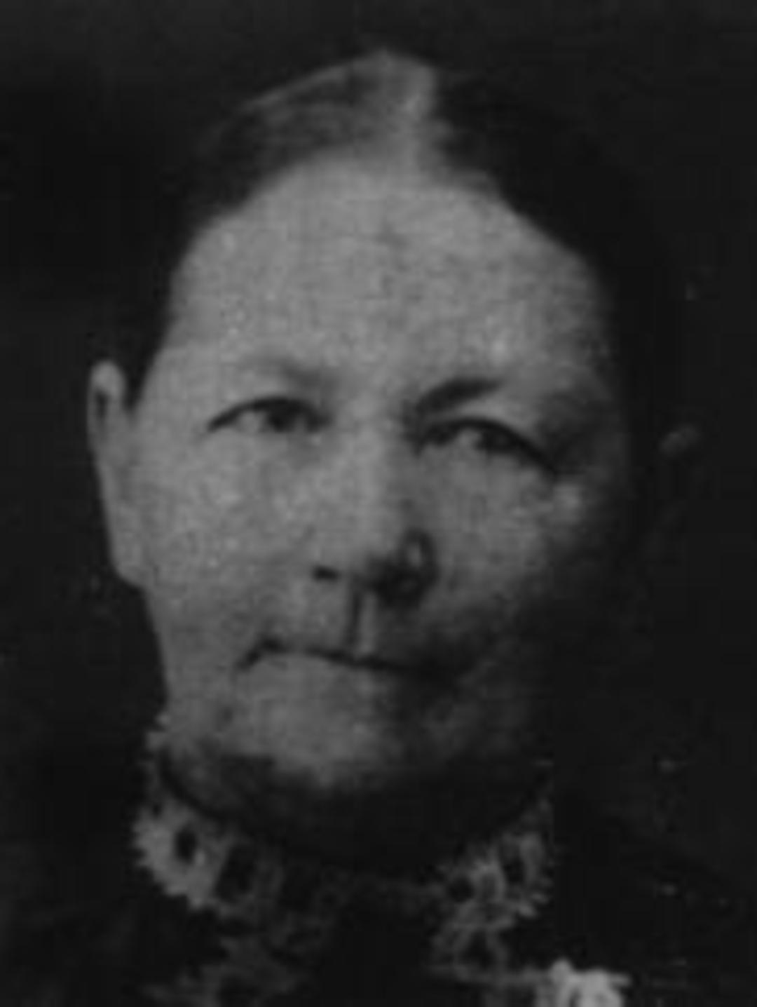 Louisa Adelaid Phillips (1840 - 1915) Profile